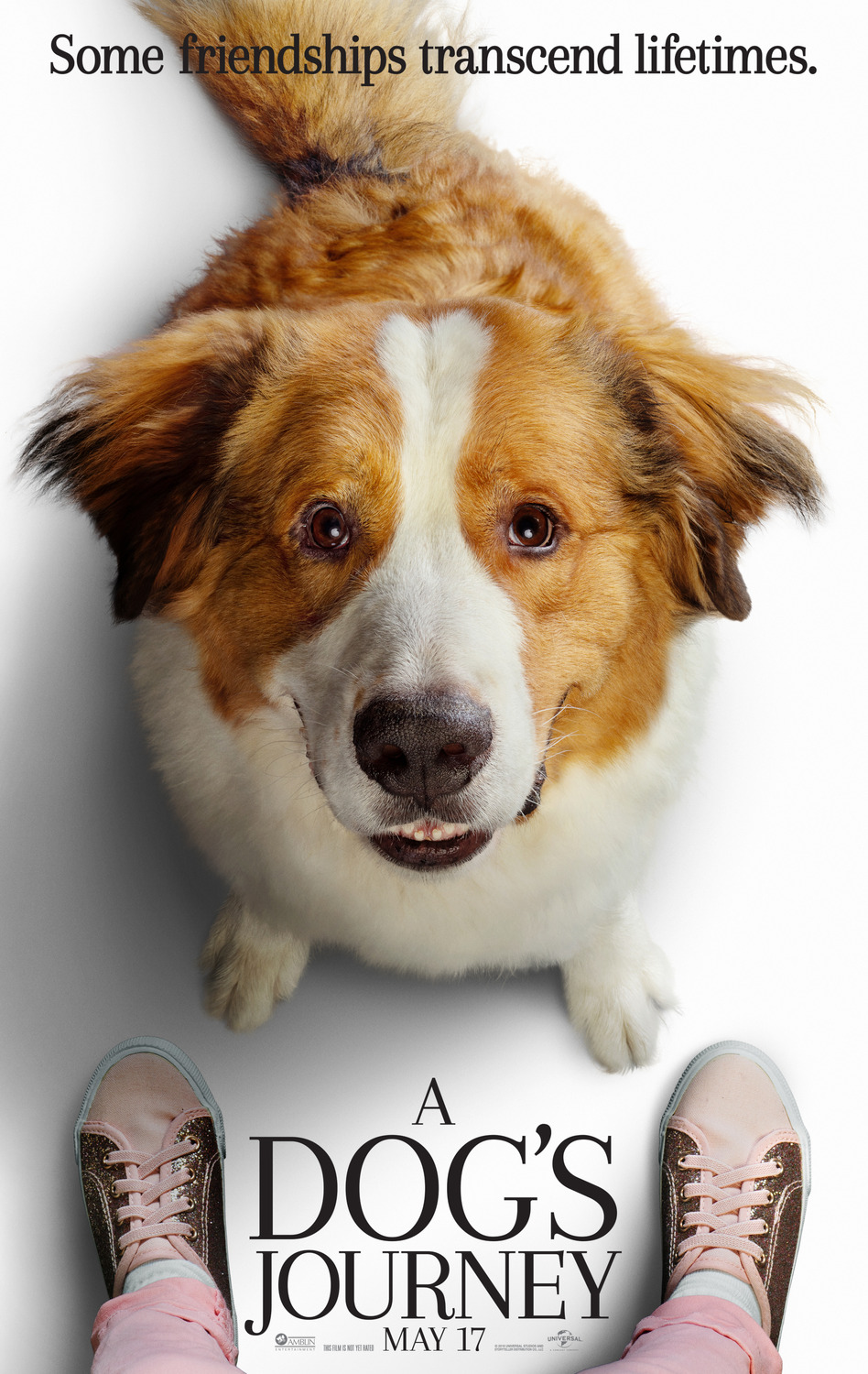 Extra Large Movie Poster Image for A Dog's Journey (#1 of 11)