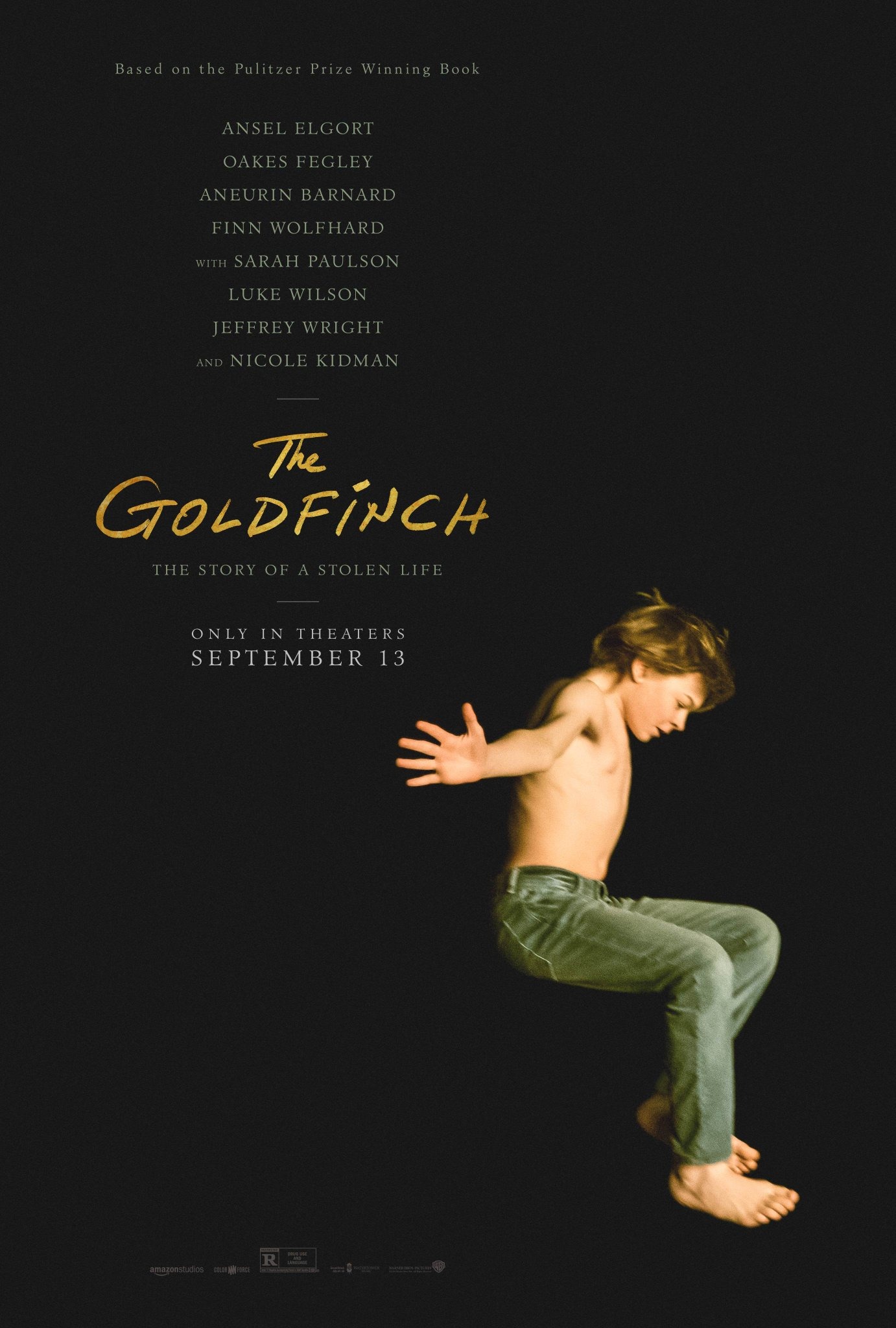 Mega Sized Movie Poster Image for The Goldfinch (#2 of 2)