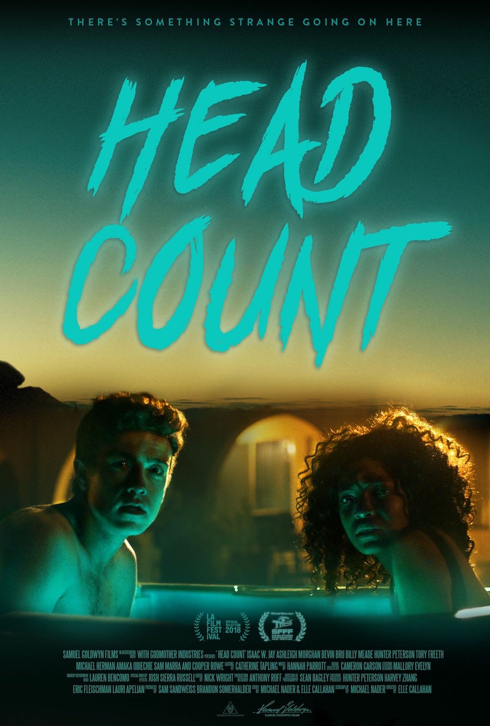 Extra Large Movie Poster Image for Head Count (#2 of 2)
