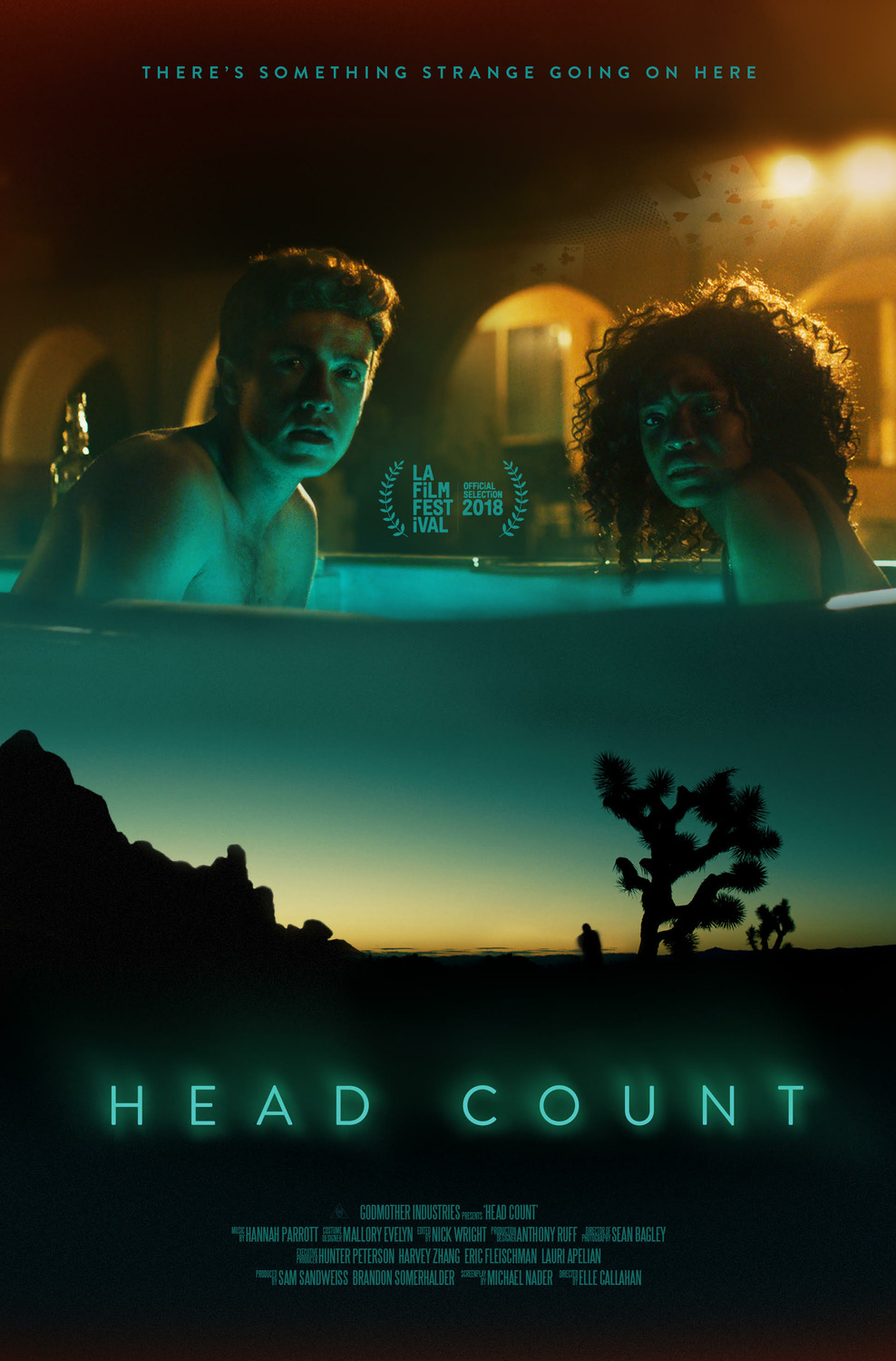 Extra Large Movie Poster Image for Head Count (#1 of 2)