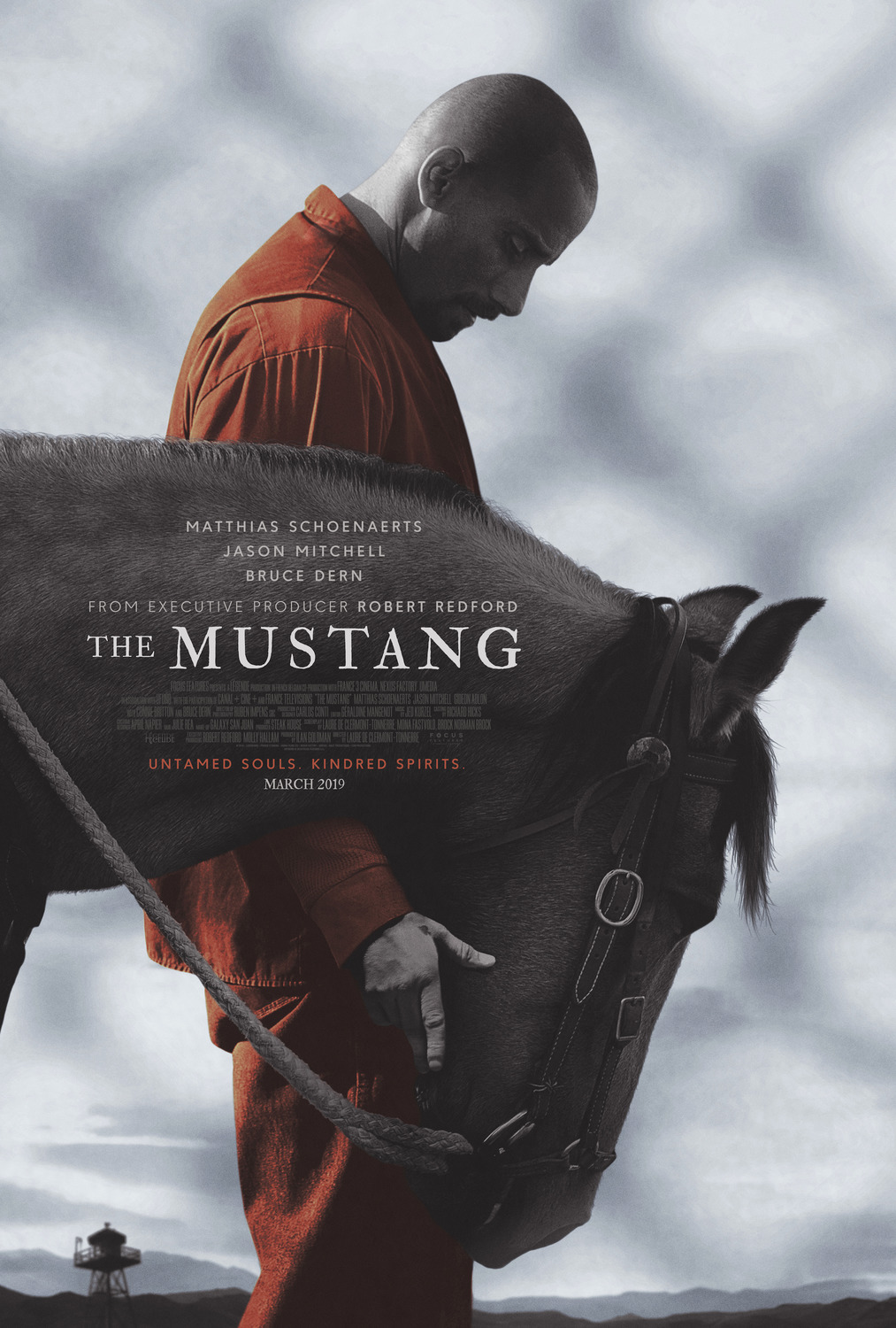 Extra Large Movie Poster Image for The Mustang 