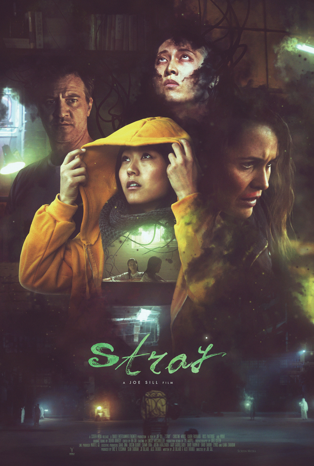 Extra Large Movie Poster Image for Stray 
