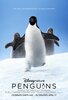 Penguins (2019) Thumbnail