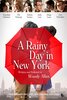 A Rainy Day in New York (2019) Thumbnail