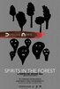 Spirits in the Forest (2019) Thumbnail