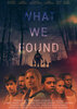 What We Found (2020) Thumbnail