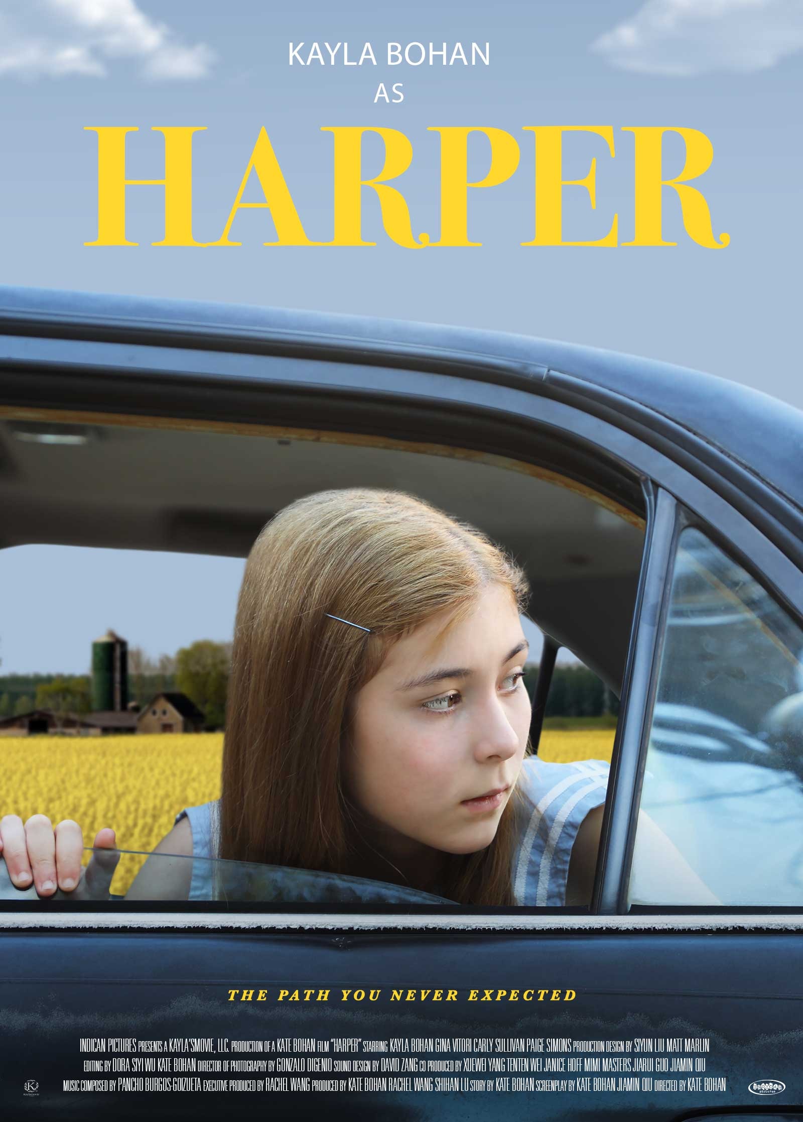 Mega Sized Movie Poster Image for Harper (#1 of 2)
