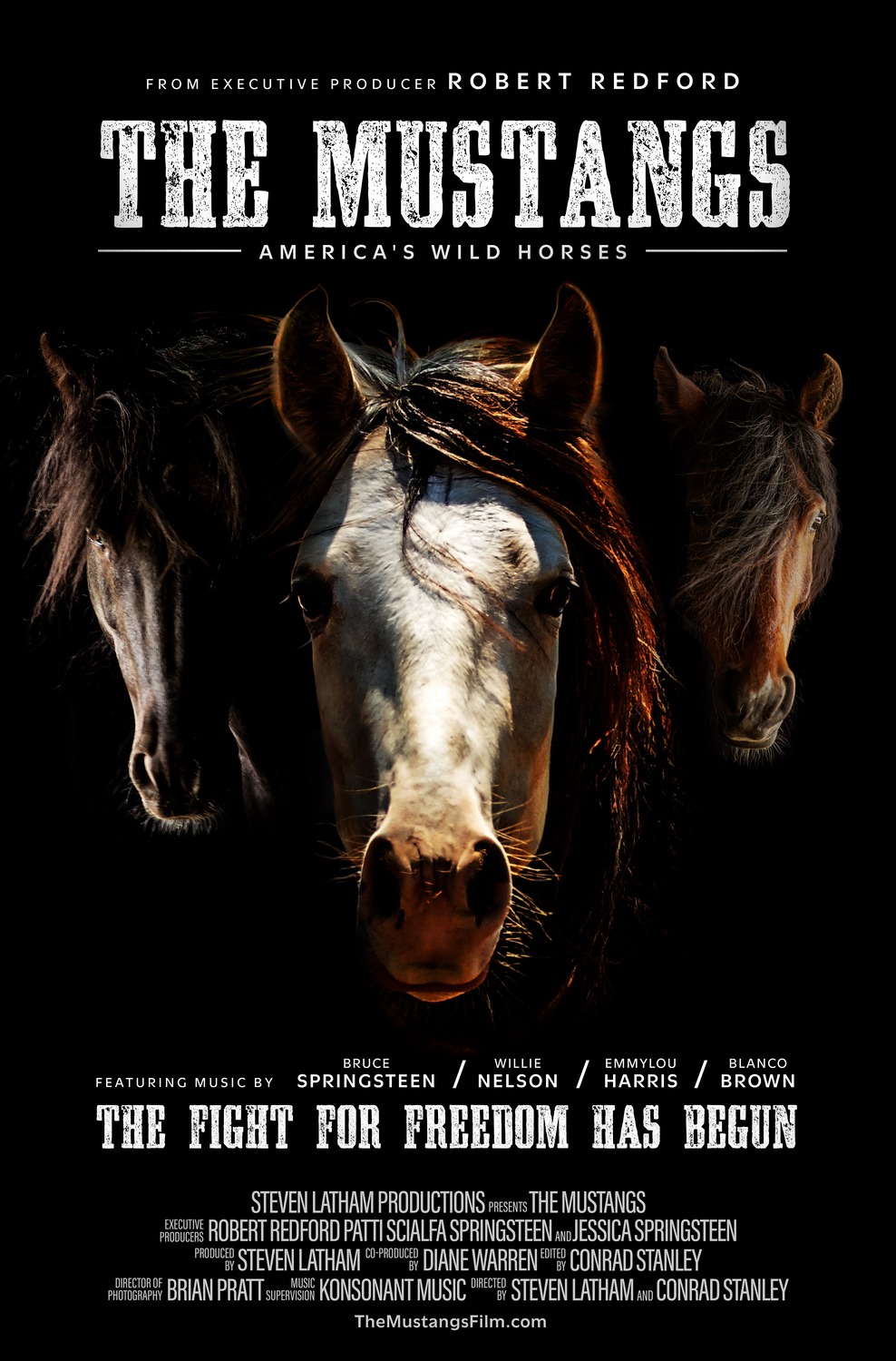 Extra Large Movie Poster Image for The Mustangs: America's Wild Horses 