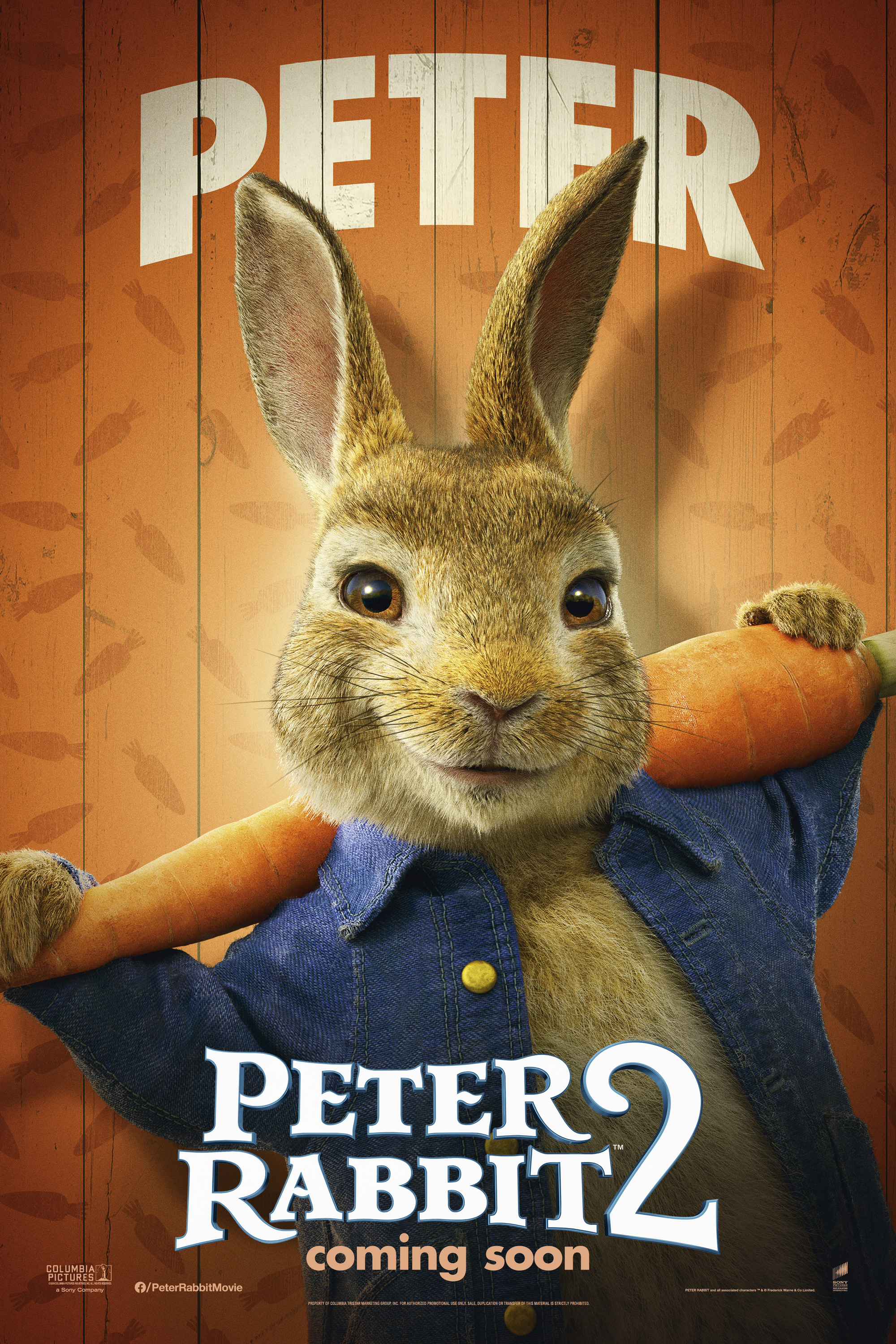 Mega Sized Movie Poster Image for Peter Rabbit 2 (#12 of 20)