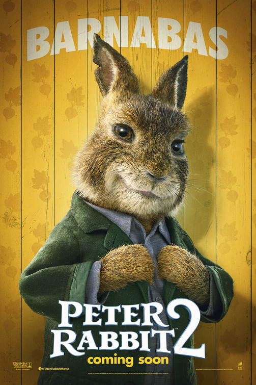 Peter Rabbit 2 Movie Poster
