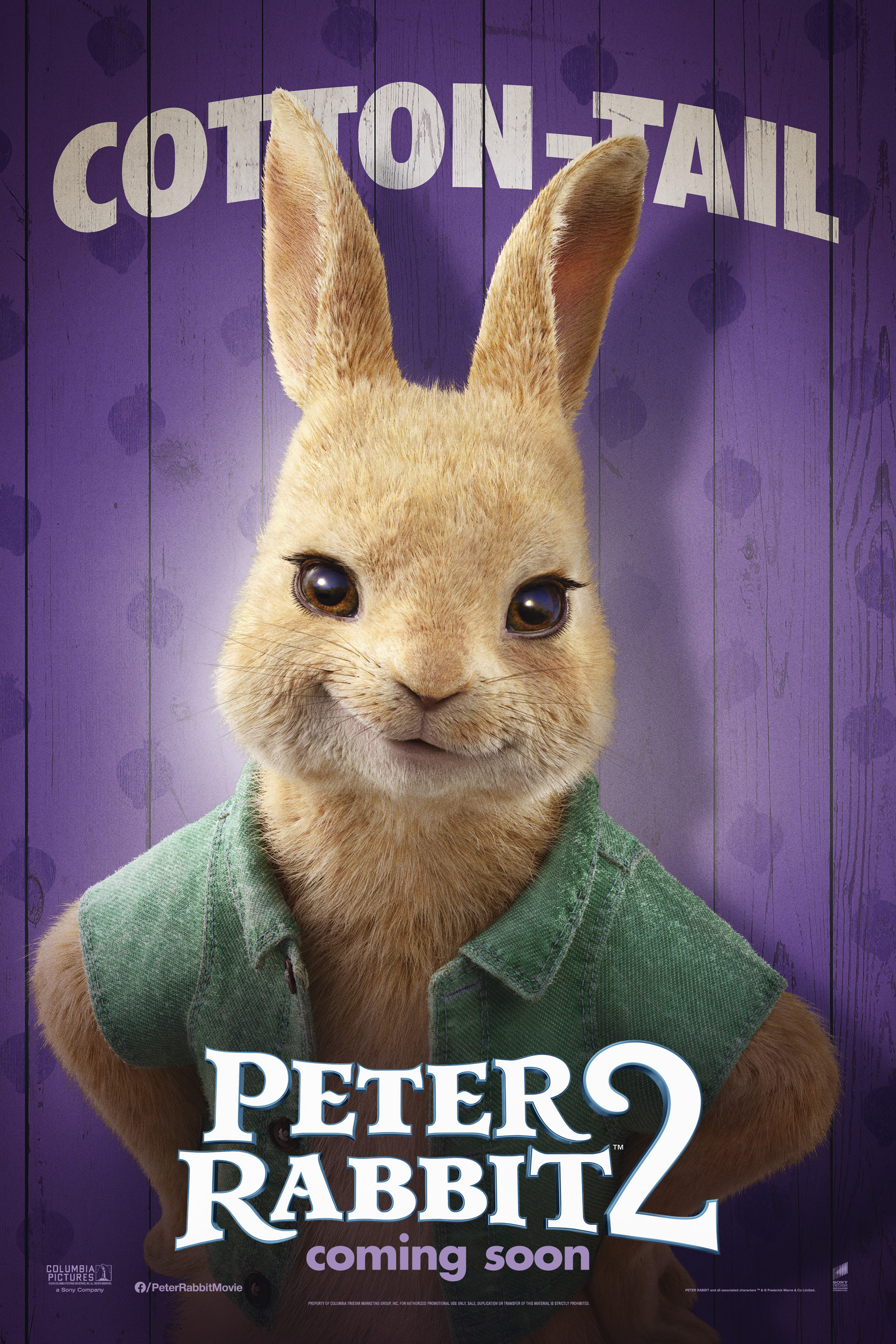 Mega Sized Movie Poster Image for Peter Rabbit 2 (#15 of 20)