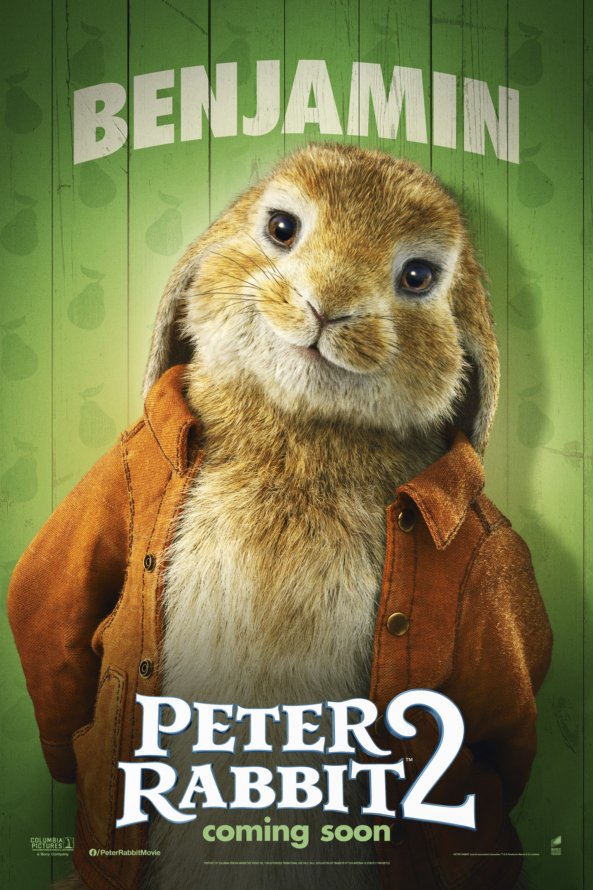 Mega Sized Movie Poster Image for Peter Rabbit 2 (#16 of 20)