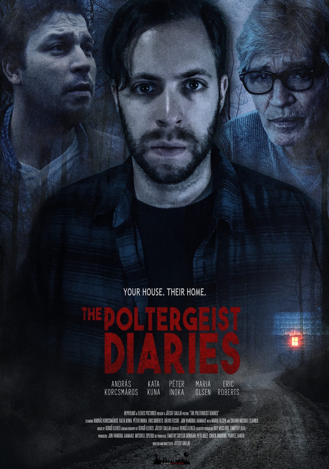 Extra Large Movie Poster Image for The Poltergeist Diaries 