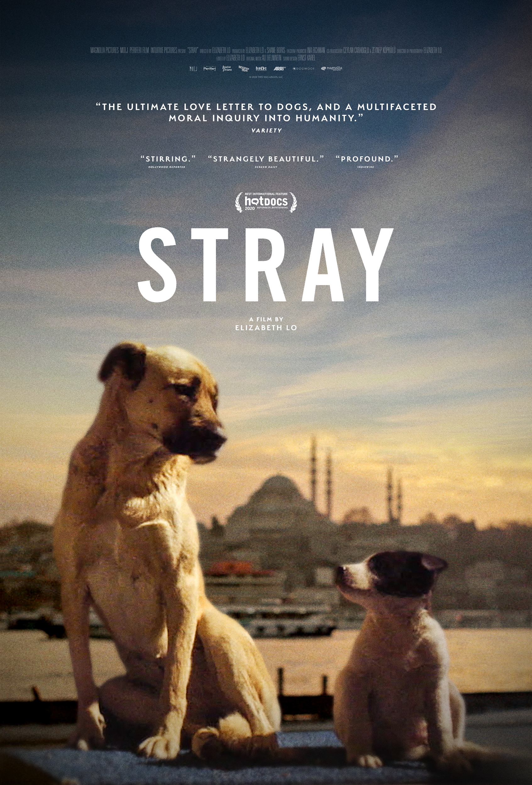 Mega Sized Movie Poster Image for Stray (#2 of 2)