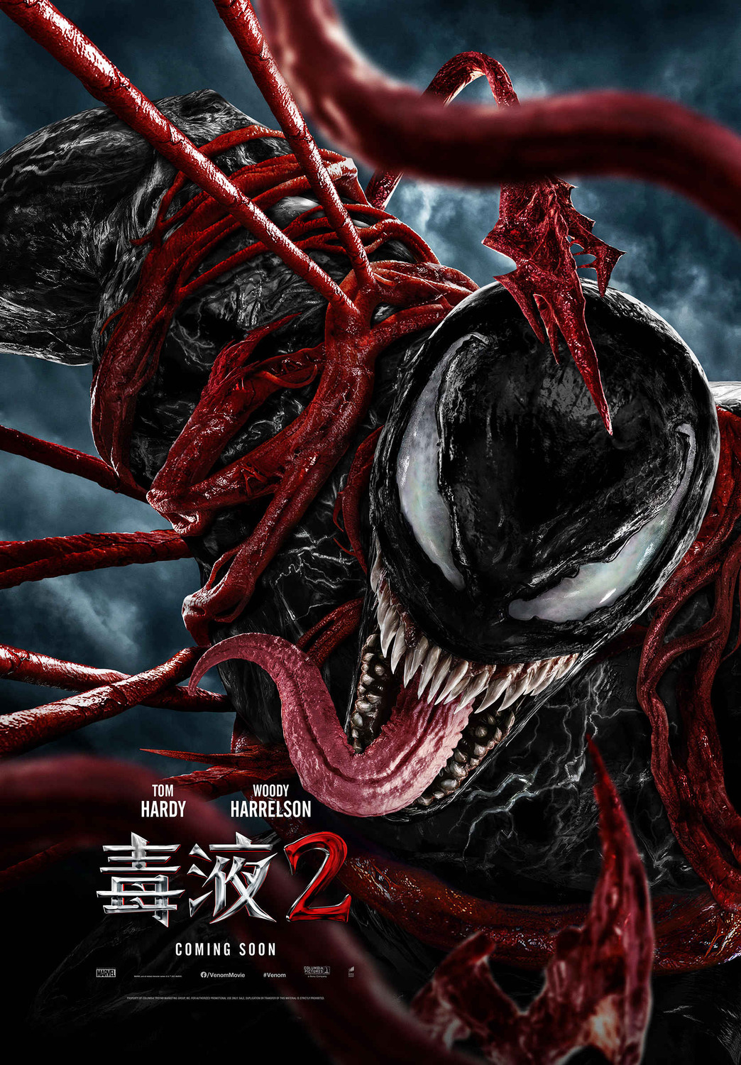Extra Large Movie Poster Image for Venom: Let There Be Carnage (#2 of 12)