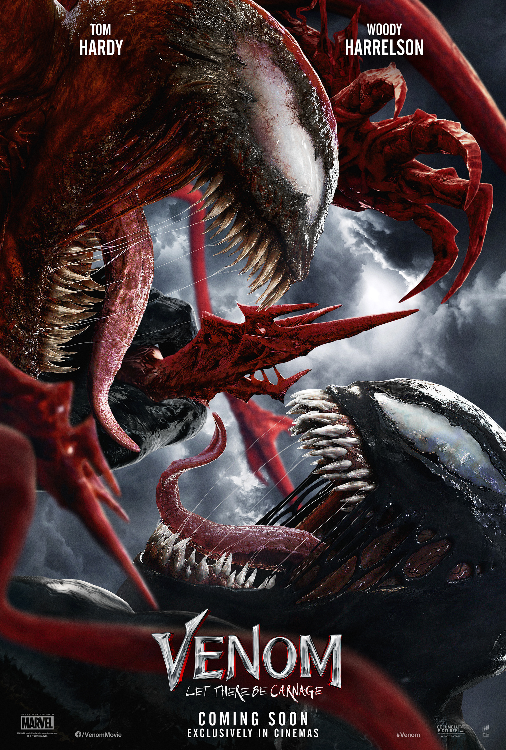 Mega Sized Movie Poster Image for Venom: Let There Be Carnage (#4 of 12)