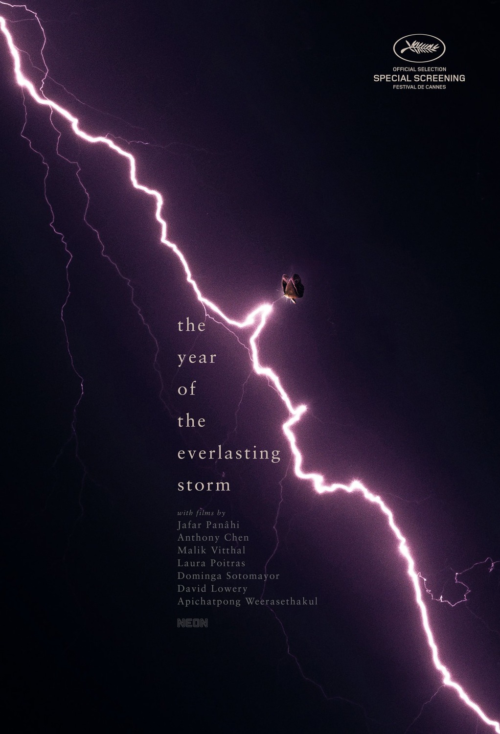 Extra Large Movie Poster Image for The Year of the Everlasting Storm 