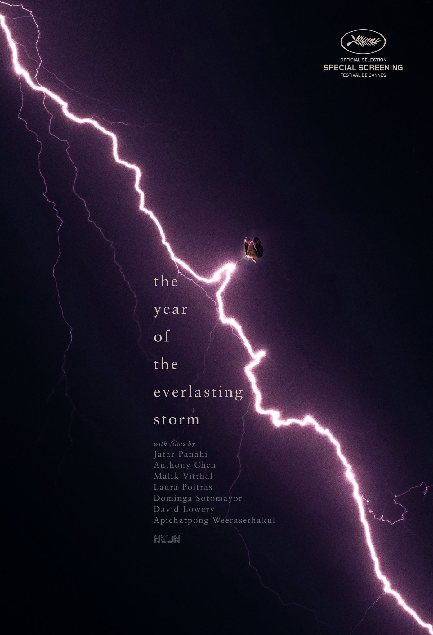 Mega Sized Movie Poster Image for The Year of the Everlasting Storm 