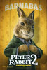 Peter Rabbit 2: The Runaway (2021) Thumbnail