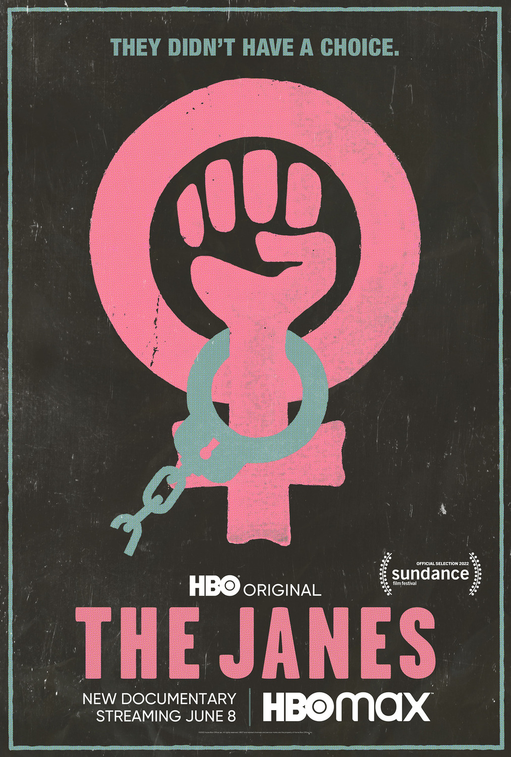 Extra Large Movie Poster Image for The Janes 