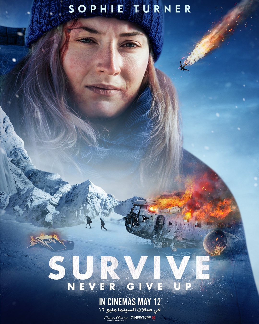 Extra Large Movie Poster Image for Survive (#2 of 2)