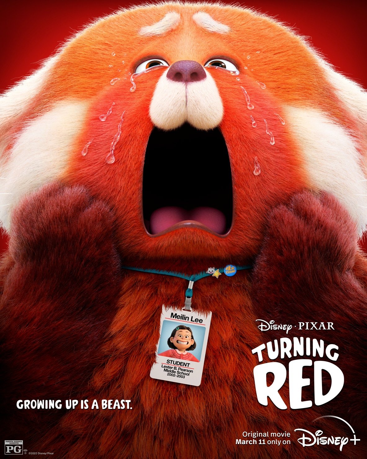 Extra Large Movie Poster Image for Turning Red (#11 of 13)