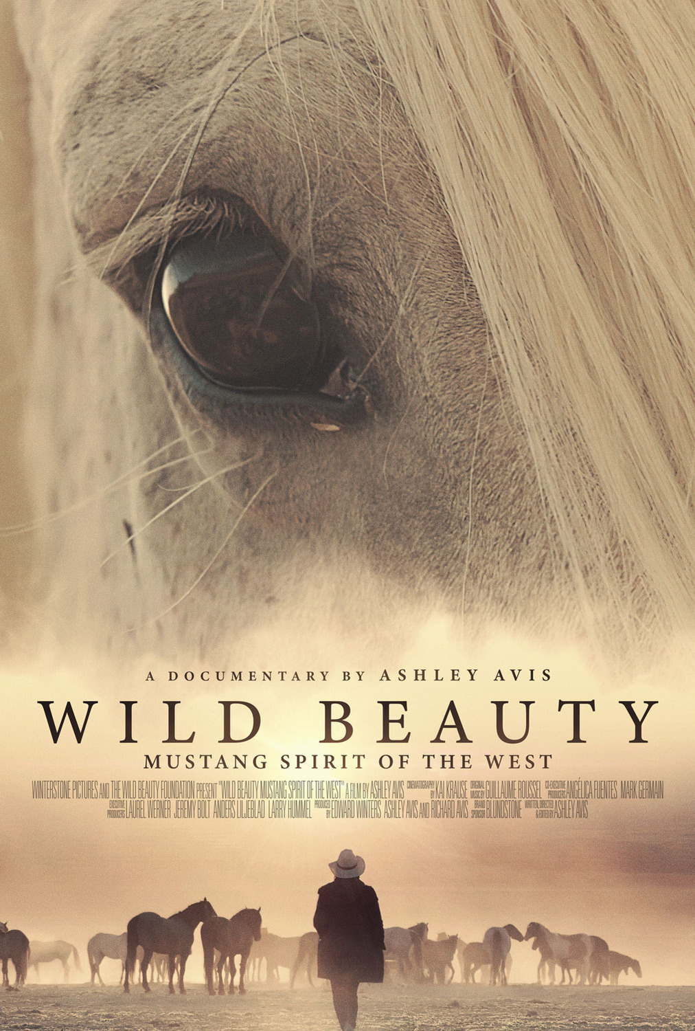 Extra Large Movie Poster Image for Wild Beauty:  Mustang Spirit of the West 