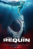 The Requin (2022) Thumbnail