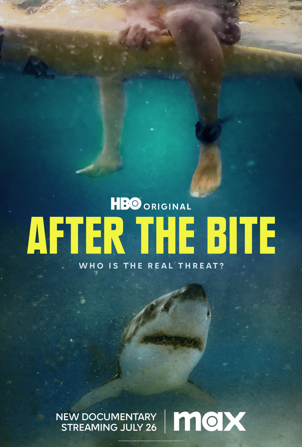 Extra Large Movie Poster Image for After the Bite (#1 of 2)