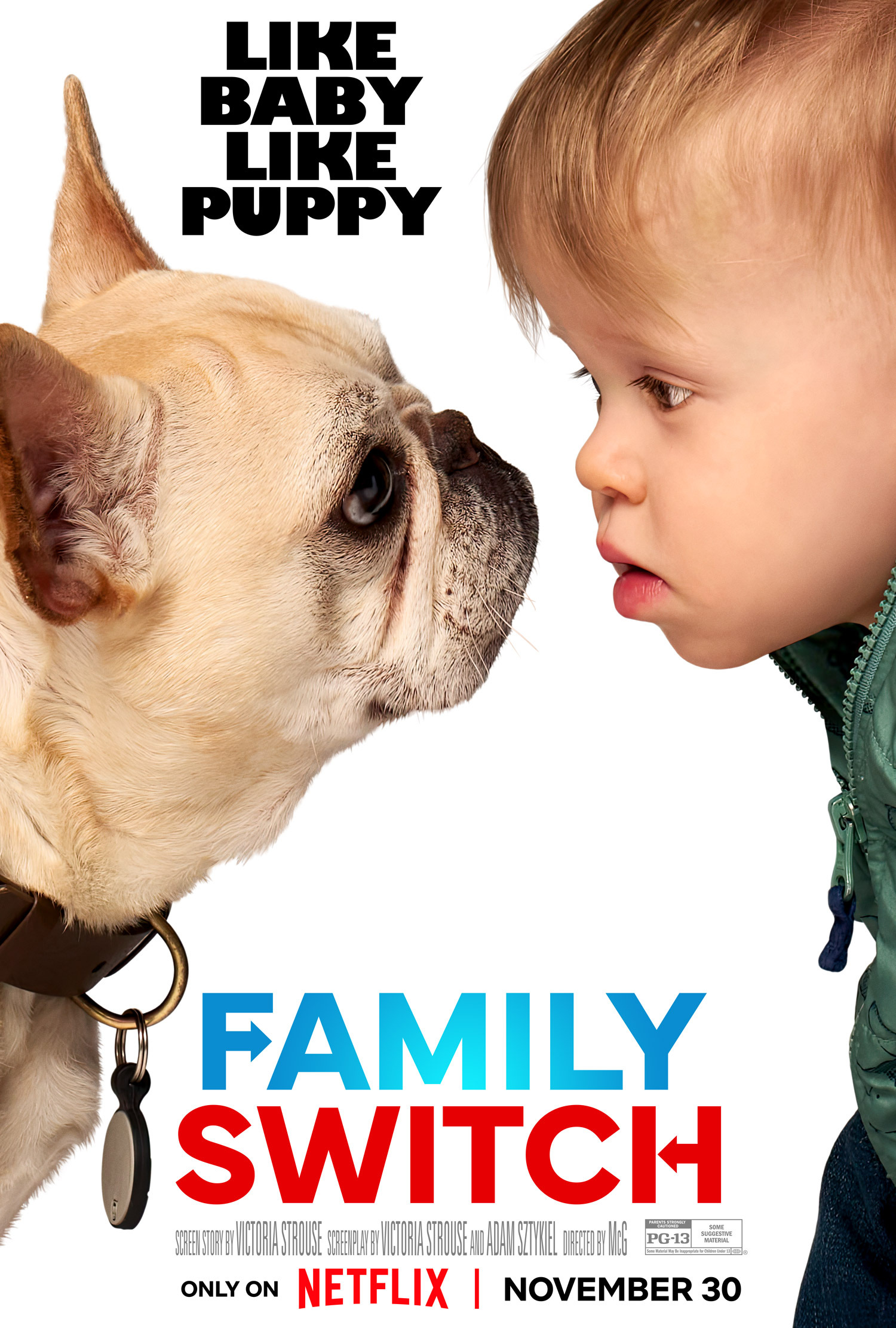 Mega Sized Movie Poster Image for Family Switch (#4 of 4)