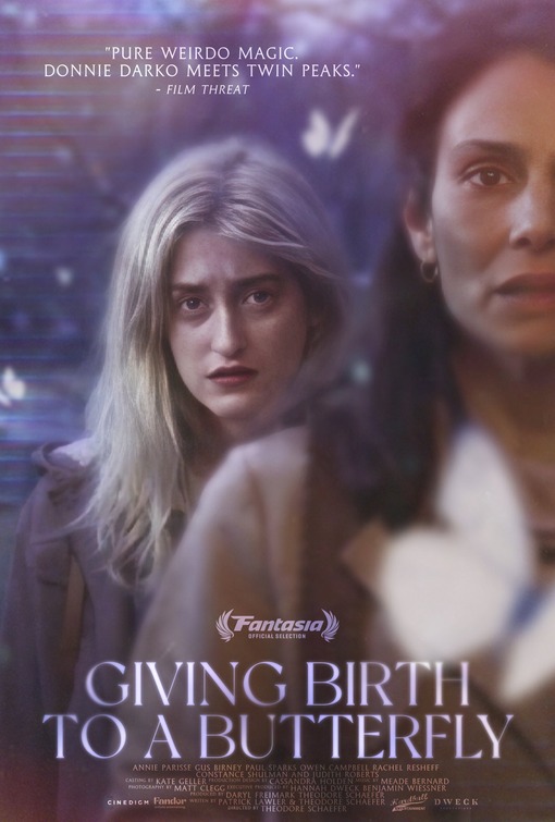 Giving Birth to a Butterfly Movie Poster