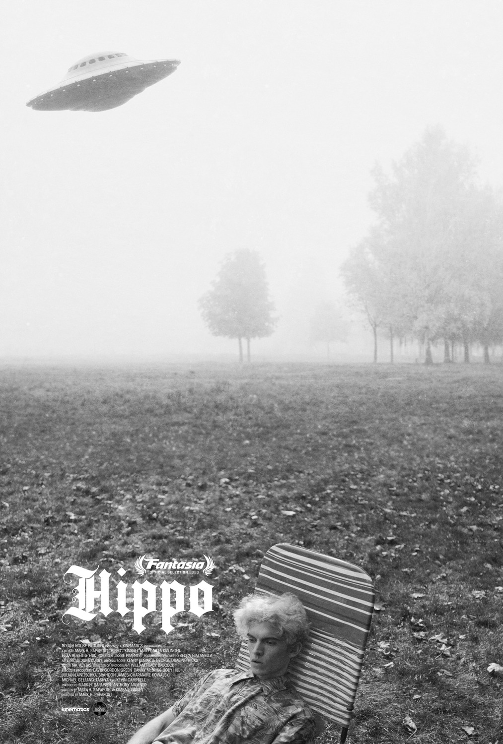 Extra Large Movie Poster Image for Hippo 