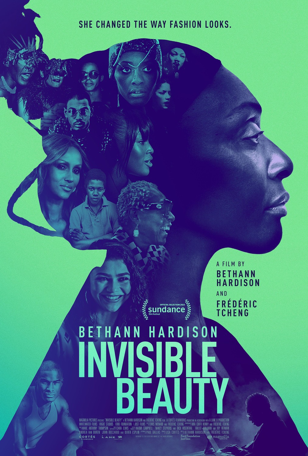 Extra Large Movie Poster Image for Invisible Beauty 
