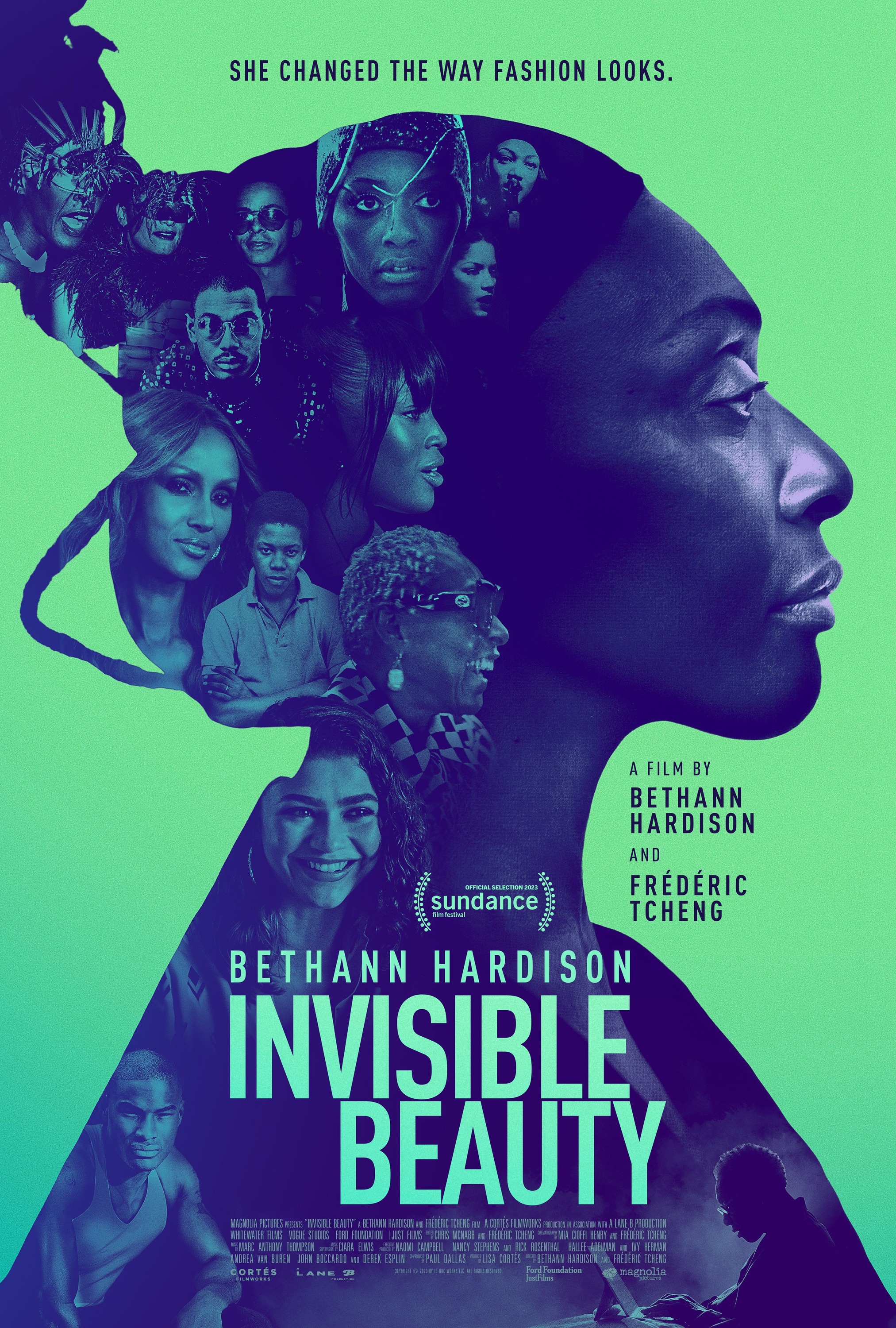Mega Sized Movie Poster Image for Invisible Beauty 
