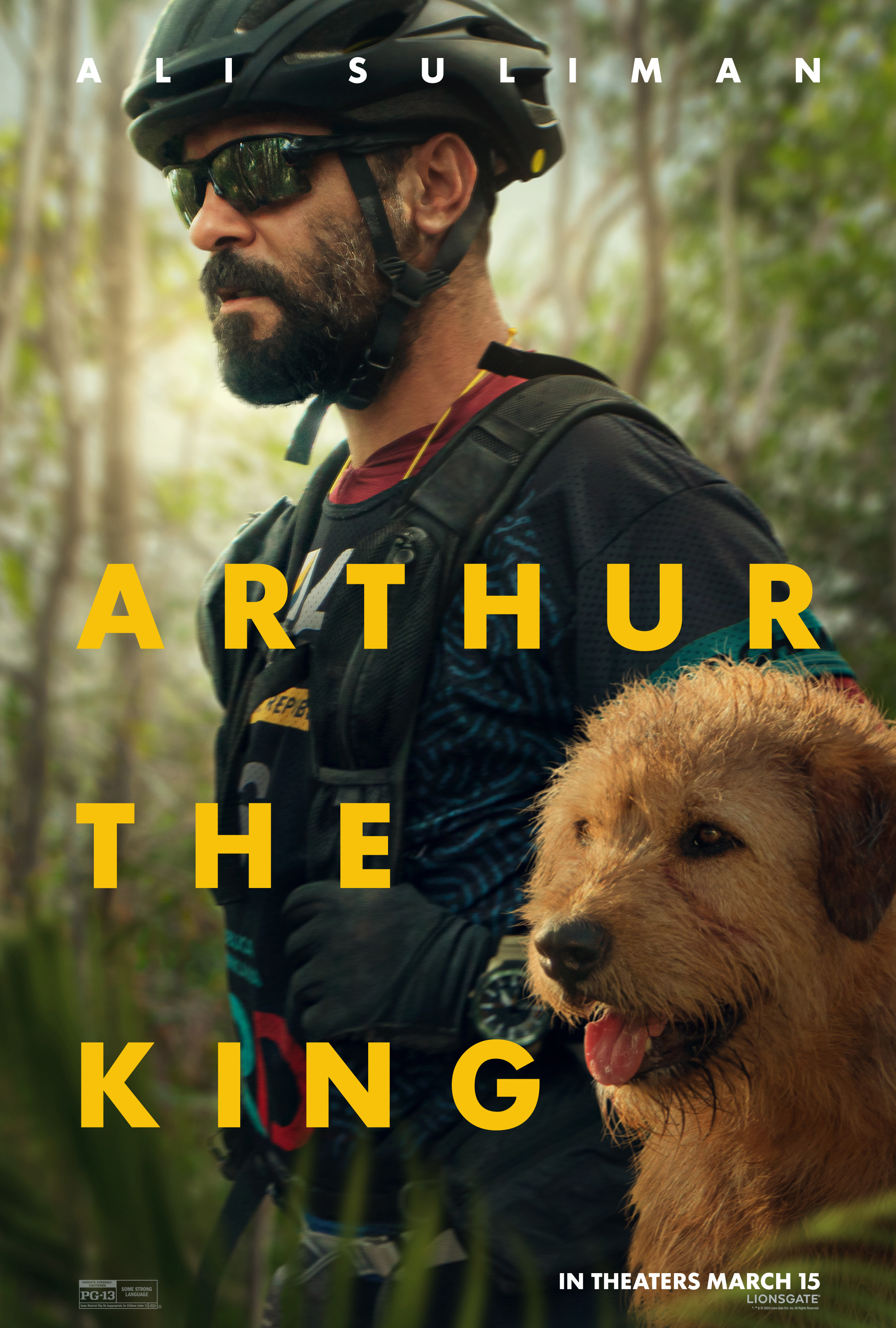 Mega Sized Movie Poster Image for Arthur the King (#3 of 6)