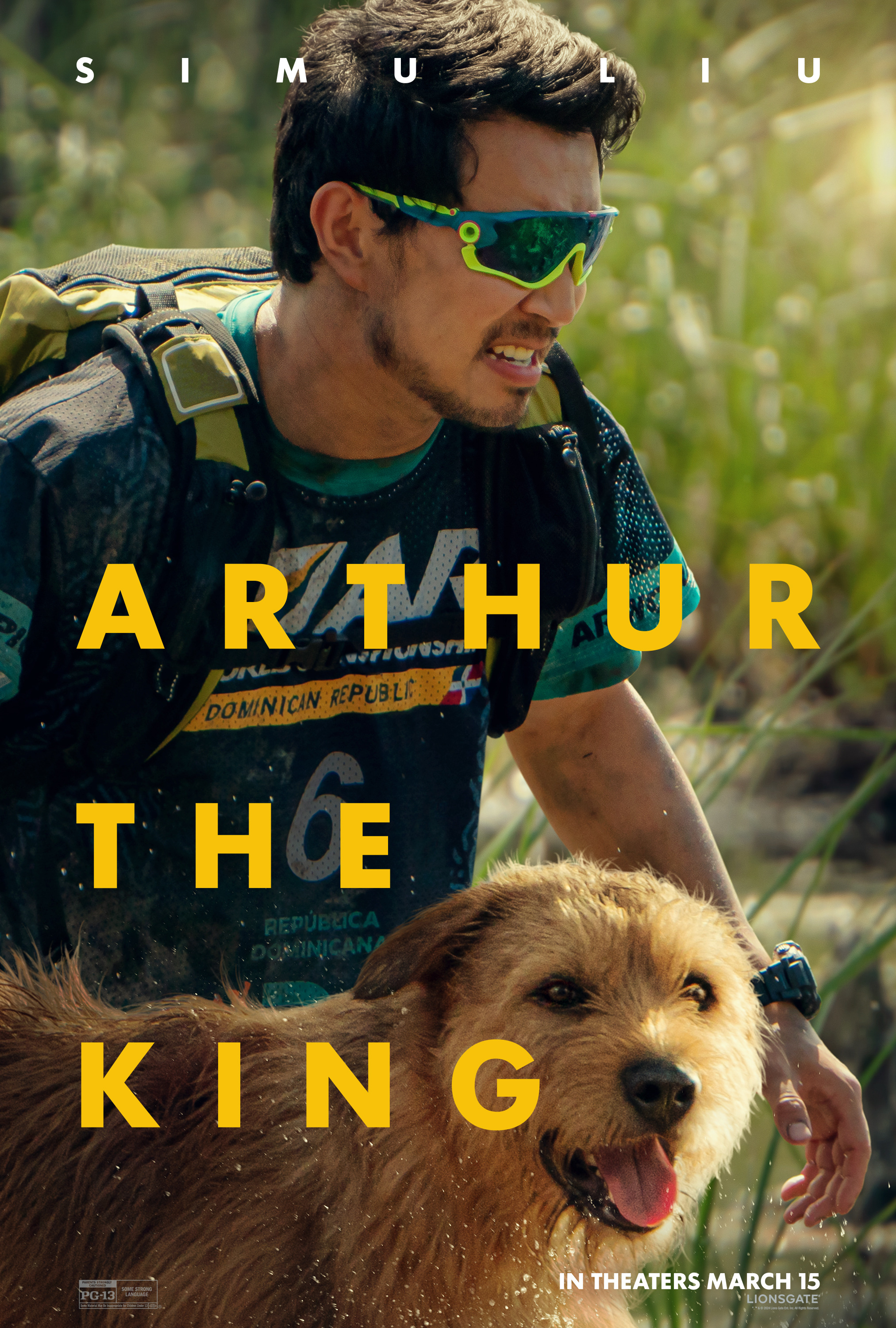 Mega Sized Movie Poster Image for Arthur the King (#5 of 6)