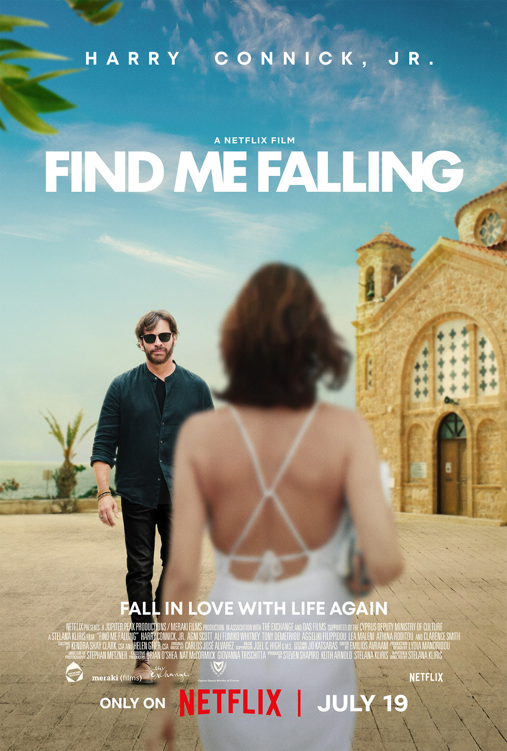 Extra Large Movie Poster Image for Find Me Falling 