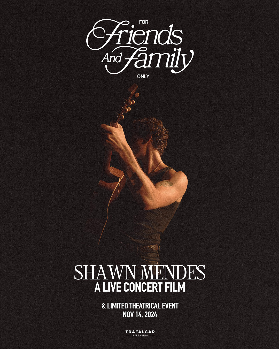 Extra Large Movie Poster Image for For Friends and Family Only, A Live Concert Film 