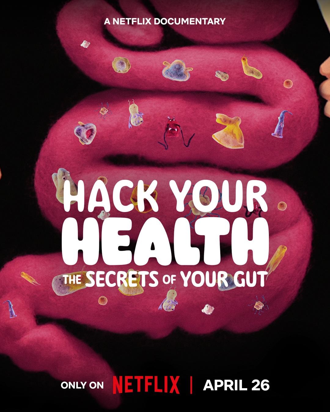 Extra Large Movie Poster Image for Hack Your Health: The Secrets of Your Gut (#1 of 2)