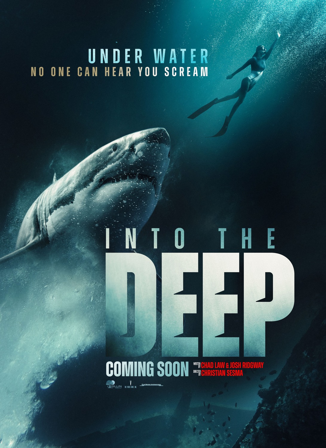 Extra Large Movie Poster Image for Into the Deep 