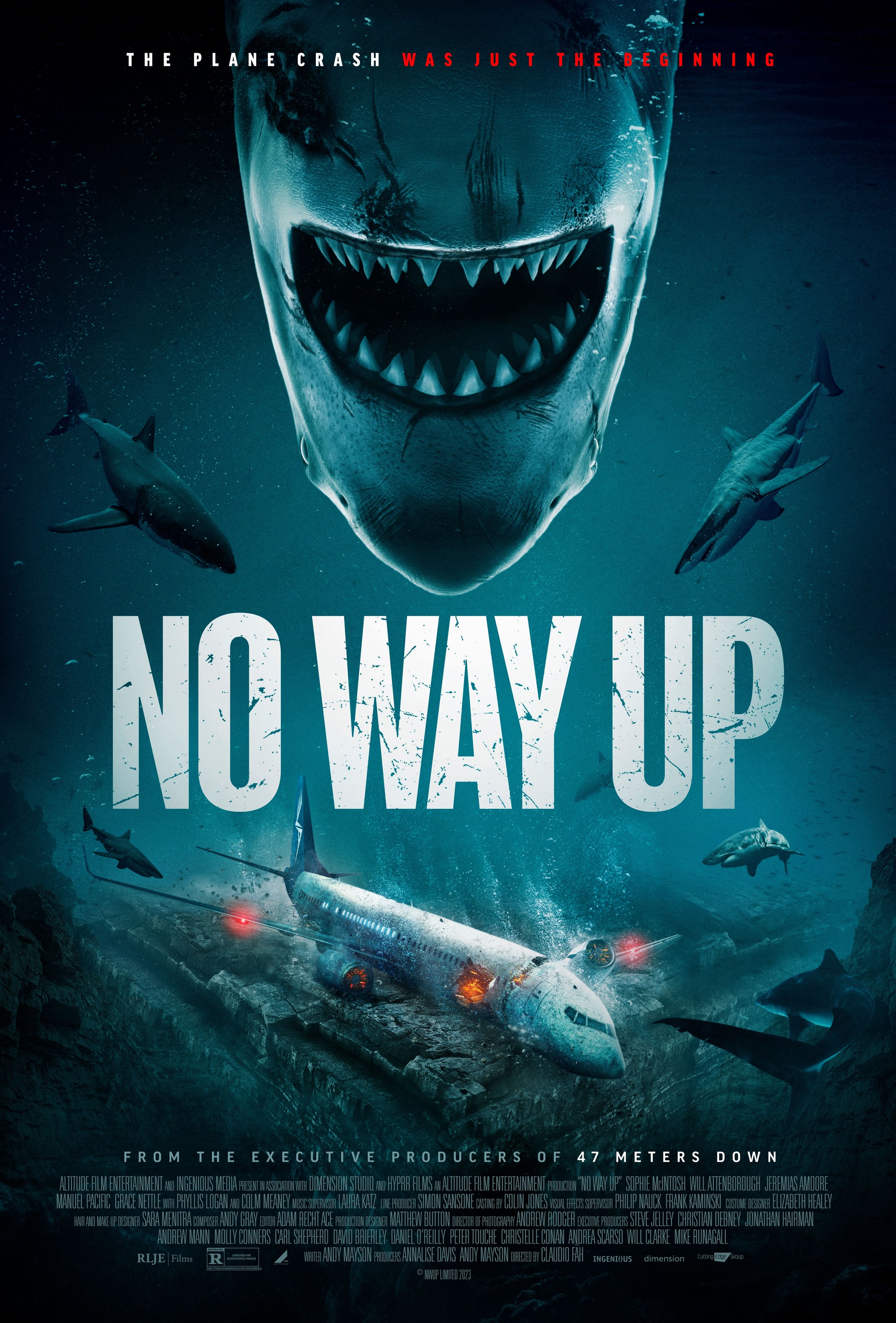 Mega Sized Movie Poster Image for No Way Up (#1 of 5)