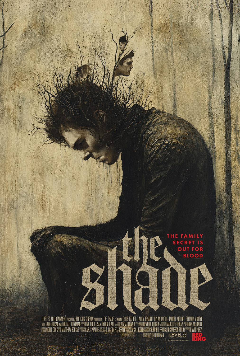 Extra Large Movie Poster Image for The Shade (#2 of 2)