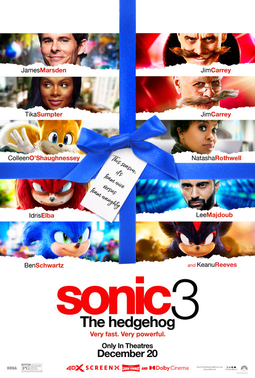 Sonic the Hedgehog 3 Movie Poster