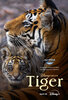 Tiger (2024) Thumbnail