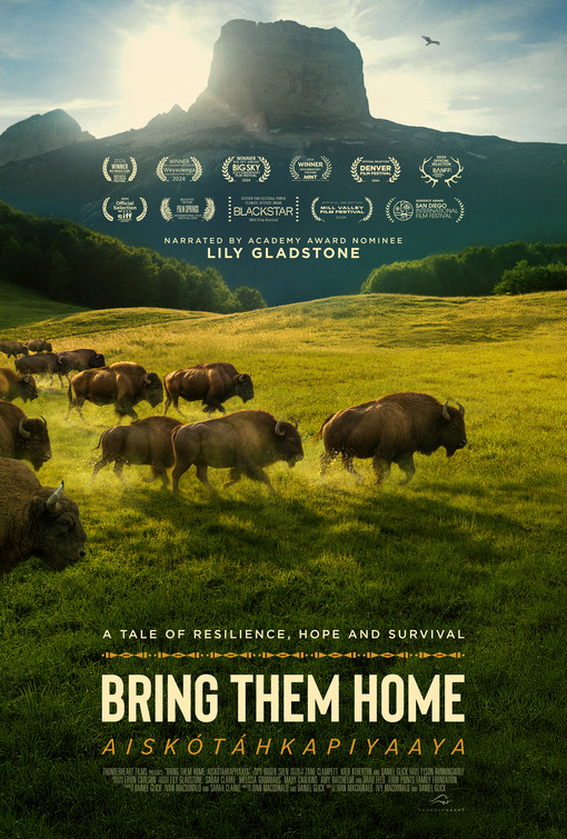 Buffalo Stone Movie Poster
