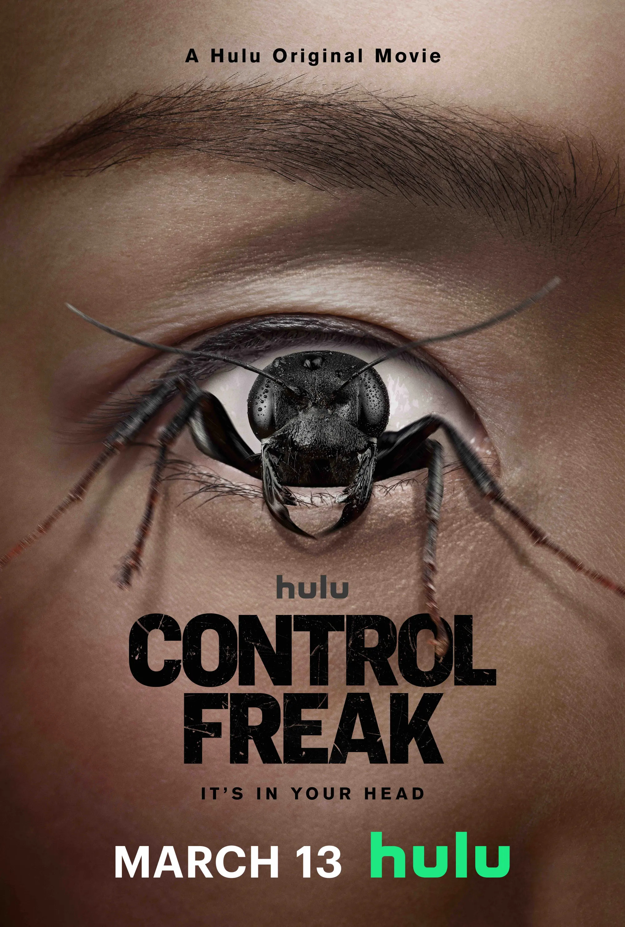 Mega Sized Movie Poster Image for Control Freak 