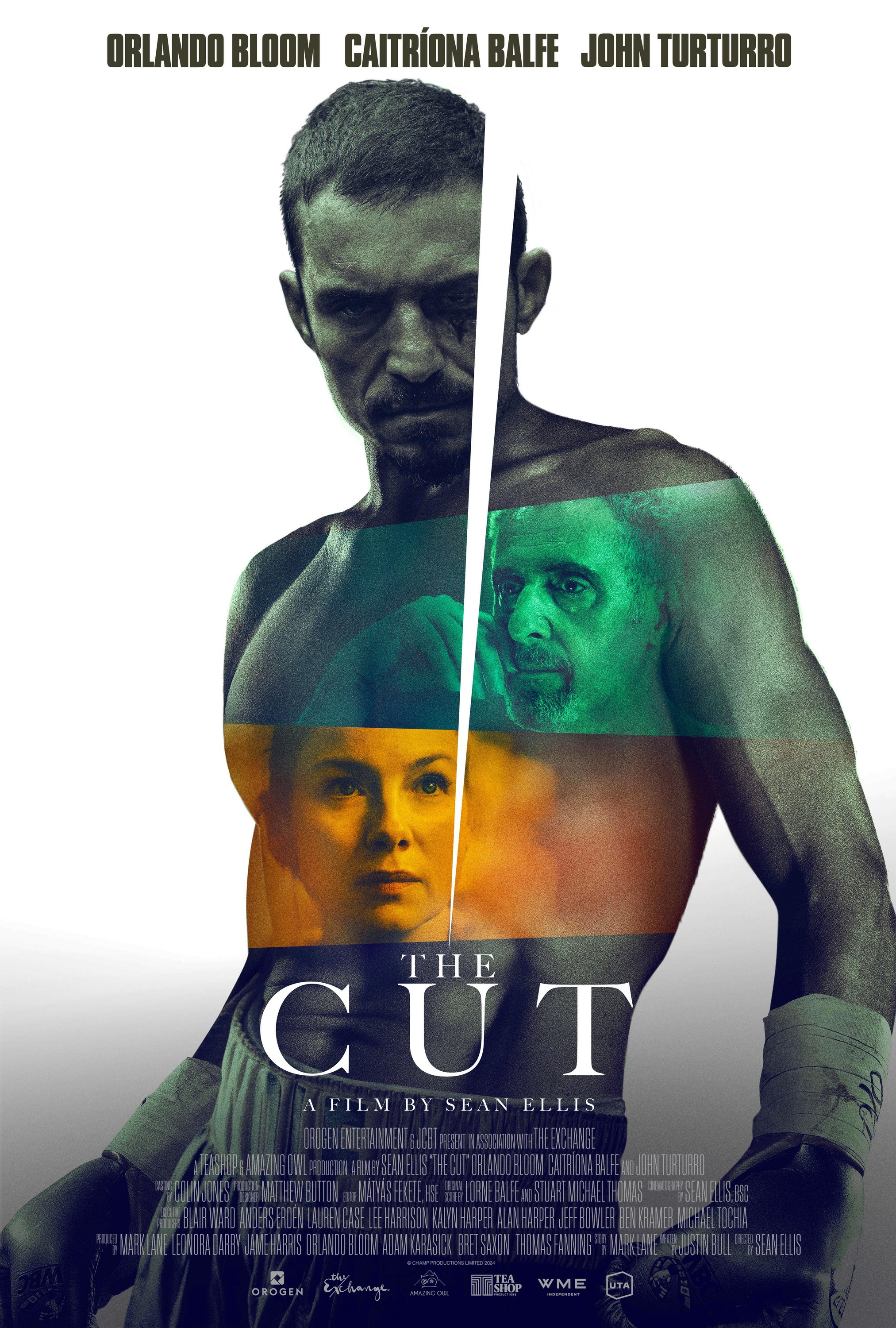 Mega Sized Movie Poster Image for The Cut (#1 of 3)
