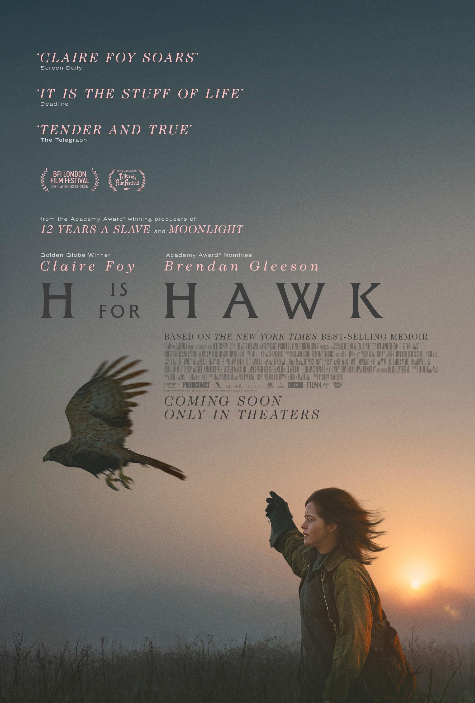 Mega Sized Movie Poster Image for H Is for Hawk 