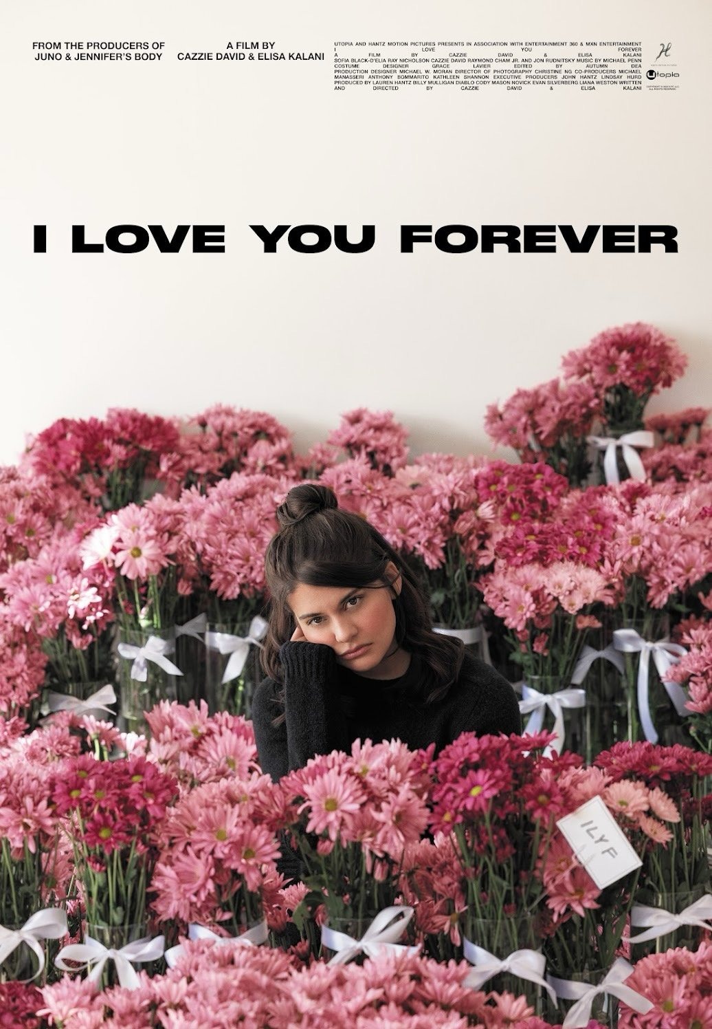 Extra Large Movie Poster Image for I Love You Forever 