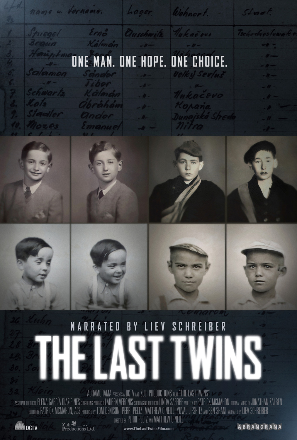 Extra Large Movie Poster Image for The Last Twins (#1 of 2)